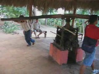 i/Family/Kuba/Picture 509 - Sugarcane press.avi